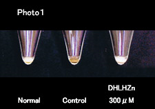 αリポ酸誘導体:メラニン産生抑制写真