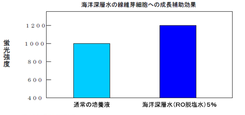 海洋深層水：線維芽細胞グラフ