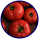 α-リポ酸・トマト